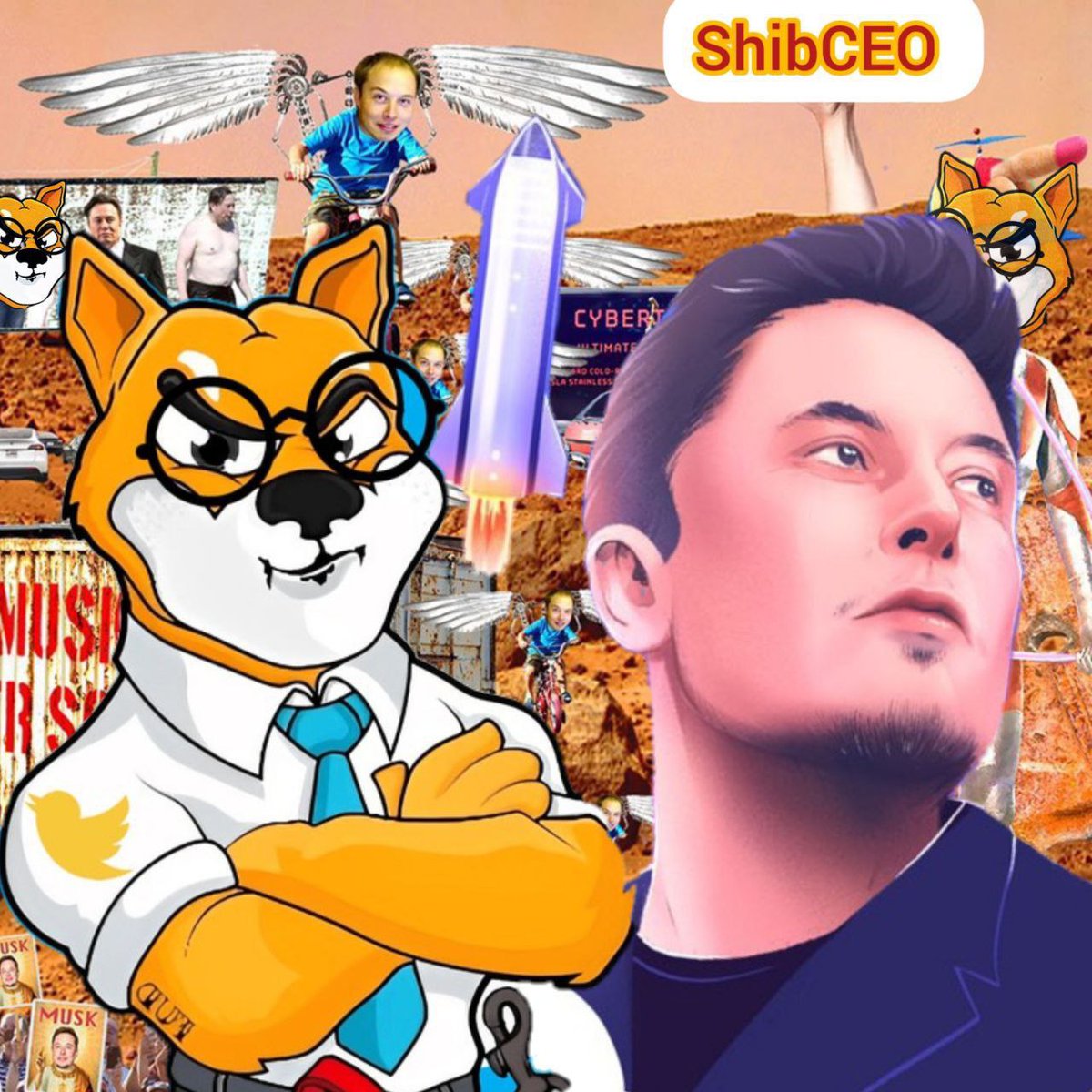 David (Definetly not BOB) tweet media