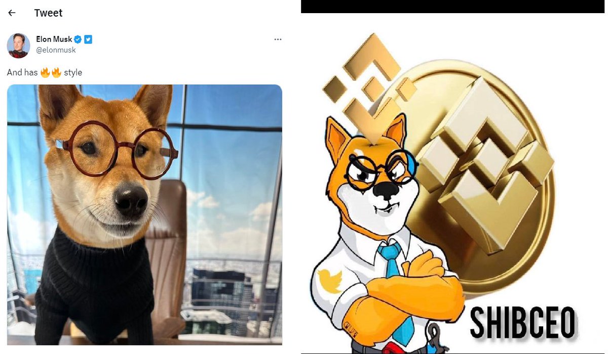 David (Definetly not BOB) tweet media