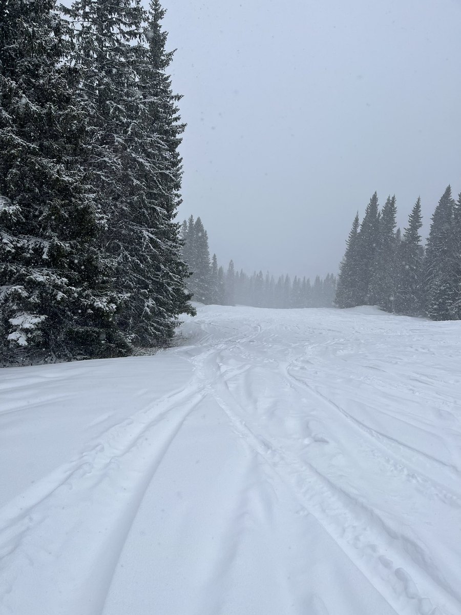 NSBARE's tweet photo. Winter is back! MEN idag stänger #Trysil, #Sälen och #Vemdalen. #Åre och #Hemsedal kör vidare till 1/5 så än kan ni svänga. Även #Platåkåtan i Åre gjorde sin sista dag och drivs i ny regi (STP restauranger) och under nytt namn #Bibbos till säsongen 23/24. Tack Karin & Tommy! https://t.co/eqx72RgeJY
