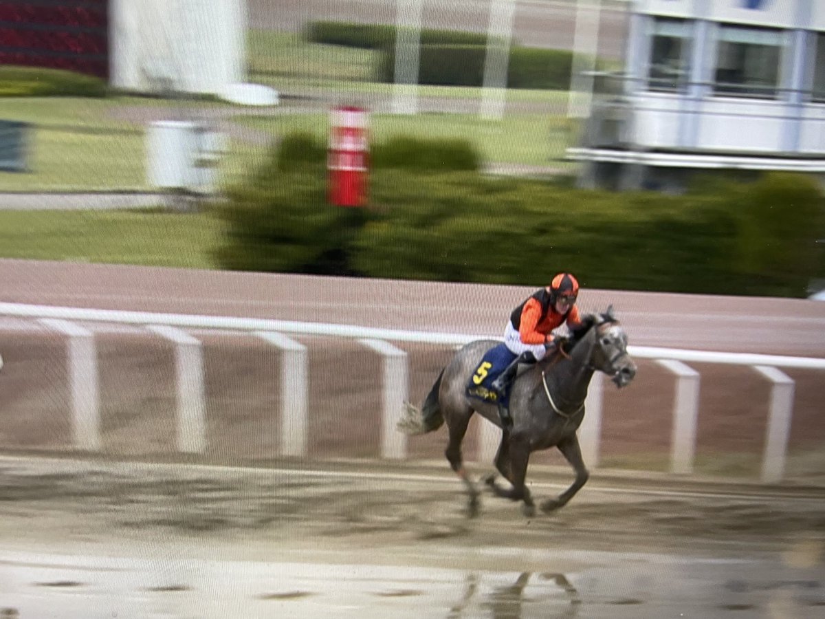 Annette Lennon tweet media