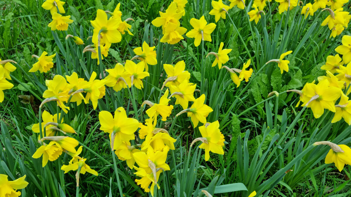 Conversation, Eastercon 2023 tweet media