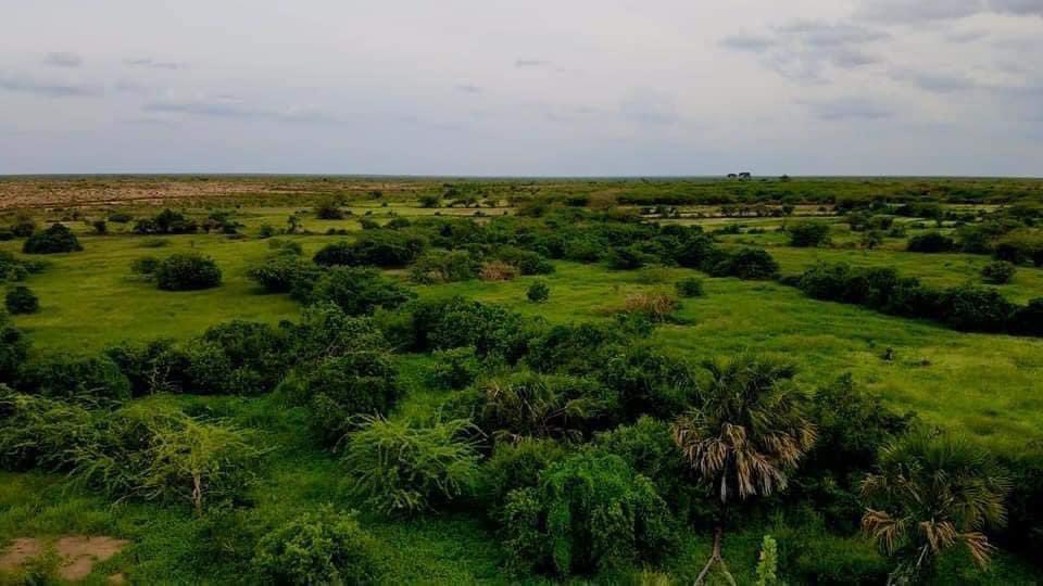 CabdiweliD's tweet photo. Markuu baarku saafo, barduhuna magoolo, ayeynu baxaynaa. #Farlibaax, #Hiiraan, #Soomaaliya. Dhulkeena oo kheyraadsan. https://t.co/hNu8PBsO2B