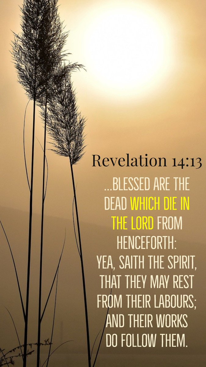 B1bleStudy's tweet image. 