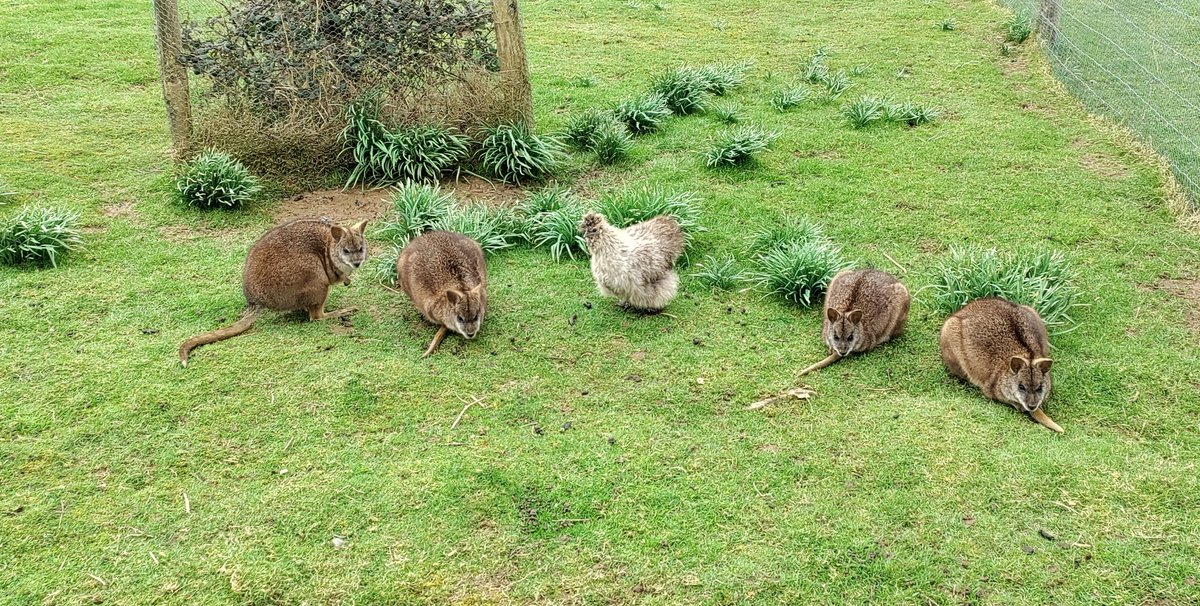 Spot the odd one out? 😂