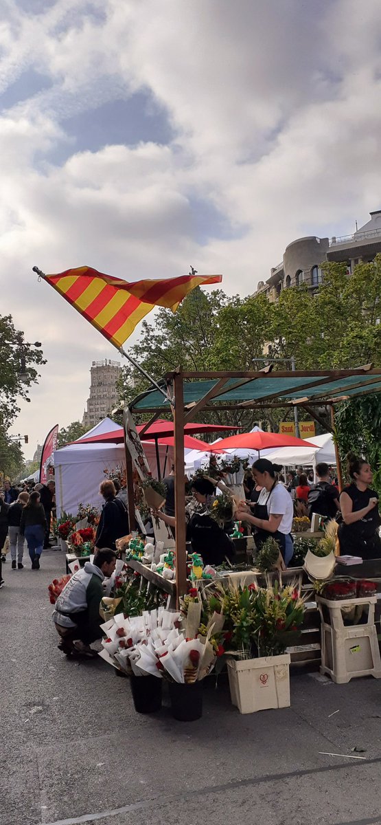 #SantJordi #SantJordiTV3 #SantJordi23 #SantJordiCatRadio #SantJordiRAC1 
Passeig de gracia 
#23abril #Barcelona #bcn #barna