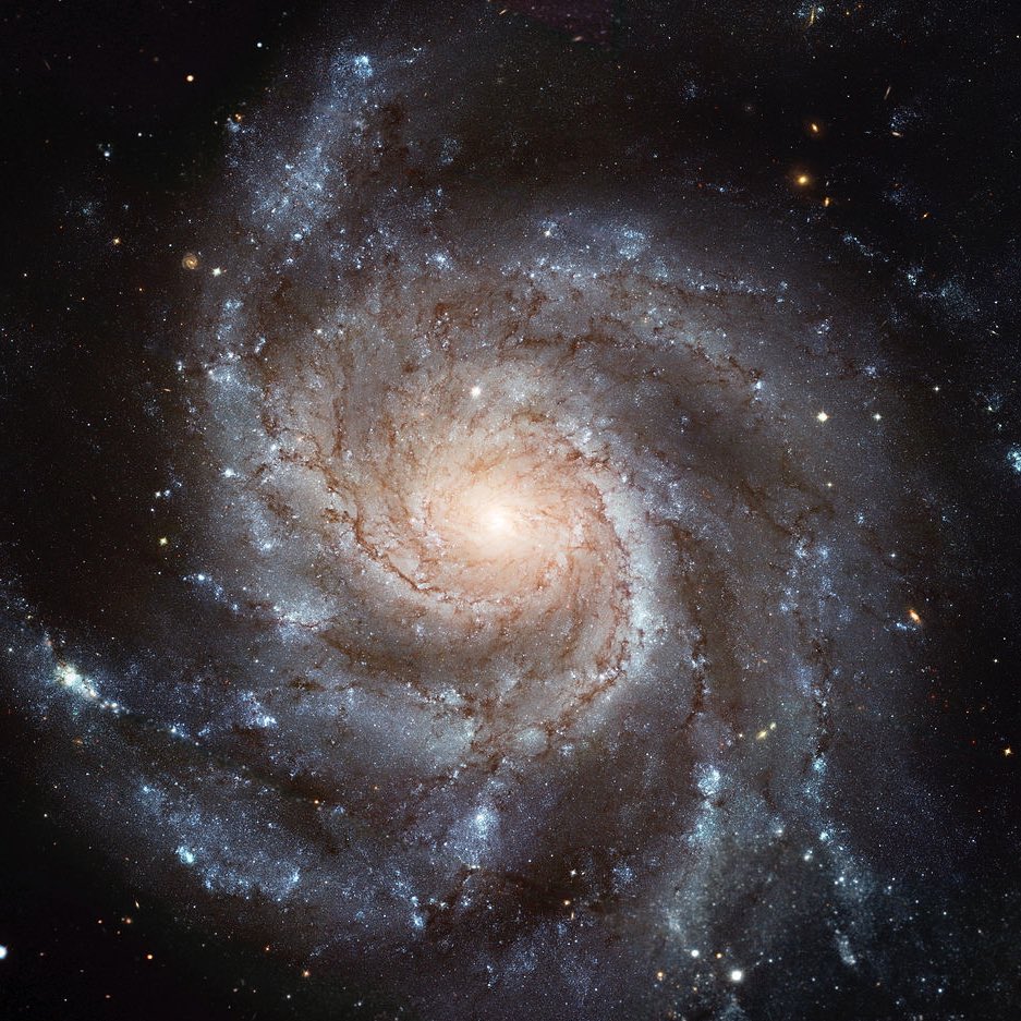 latestinspace's tweet photo. The similarities between a hurricane on Earth and a galaxy in deep space 😳 https://t.co/51Zfov6Fd6