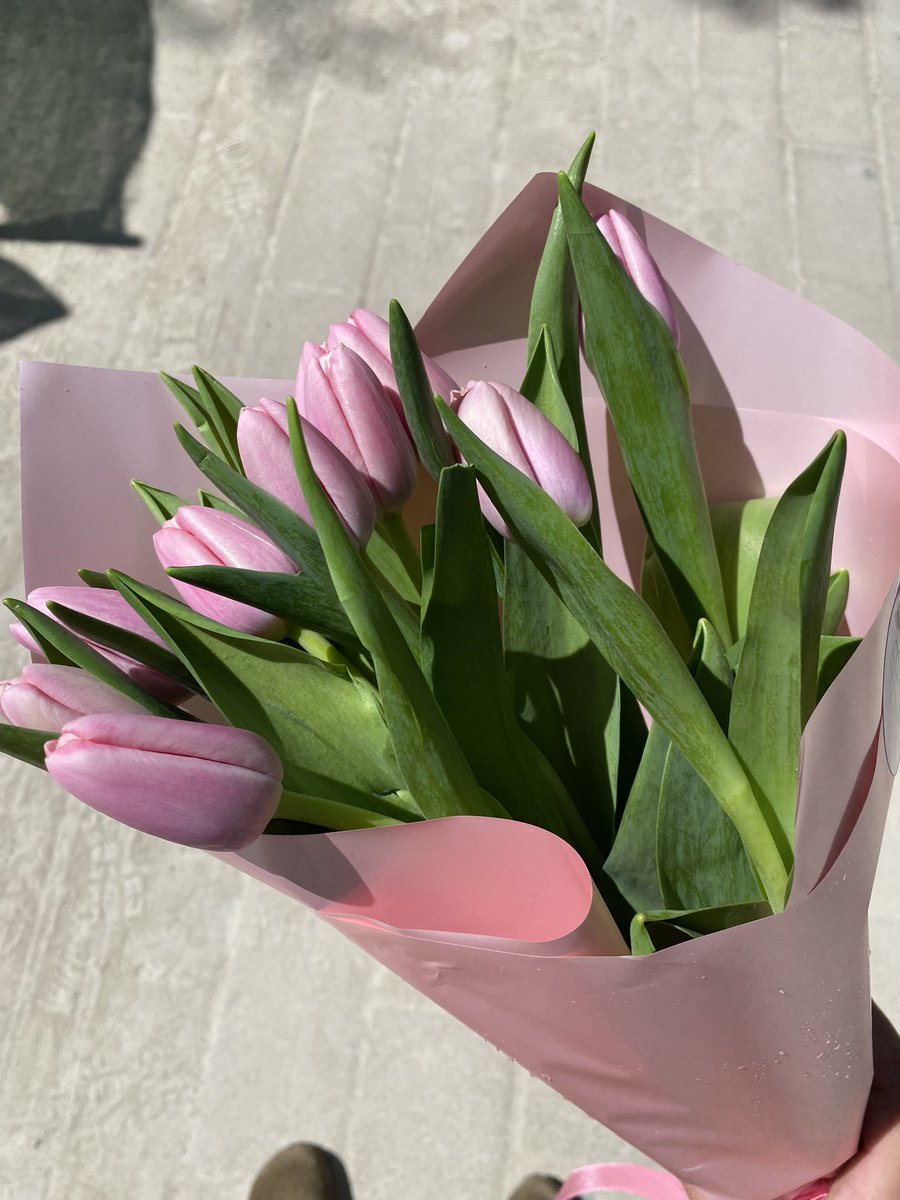 monxu_'s tweet photo. Resumen de esta mañana🌷🫶🏼 https://t.co/xO9ooXkmlx