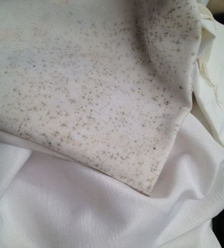 nnadddd19's tweet photo. Siapa kat sini ada telekung, baju baby , atau selimut Yang Ada taik lalat. Kadang susah nak hilang kesan.

Sayanglahh lagi lagi barang Mahal kan?  meh I nak share Cara hilangkan Kesan taik lalat kt dekat Pakaian mengunakan spray ni! 😍

( Cont ) https://t.co/K5dyTWHIAl