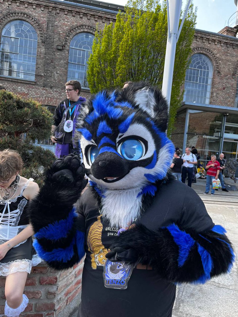 TenzotheTiger's tweet photo. The #viennacomix was awesome and I got to suit for the first time at a con :3
๐ท cronbud on TG https://t.co/SPhPa3wr0B