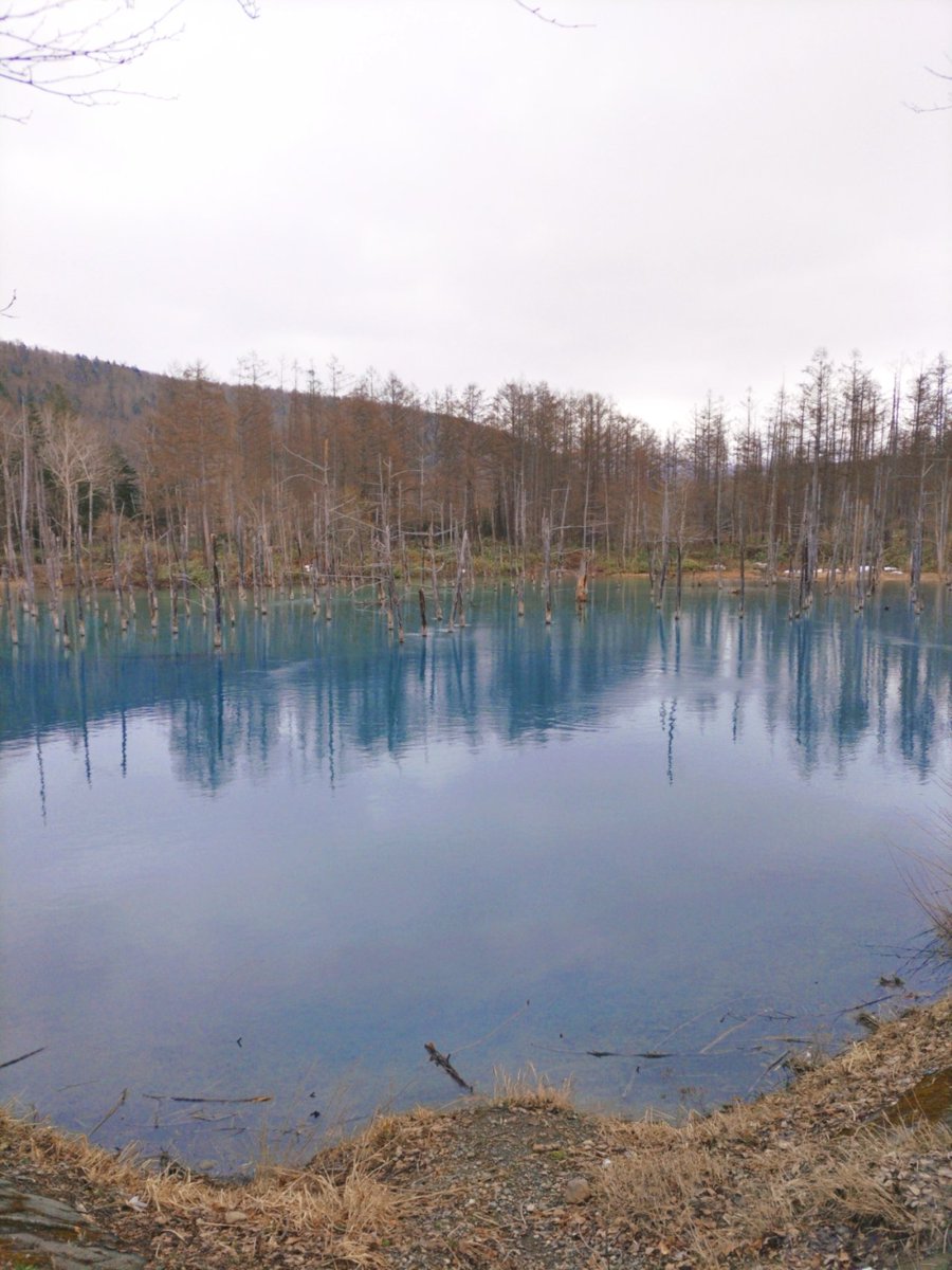 doremifar0310's tweet photo. 北海道は綺麗な景色多いから好き https://t.co/y0vppr5kBK