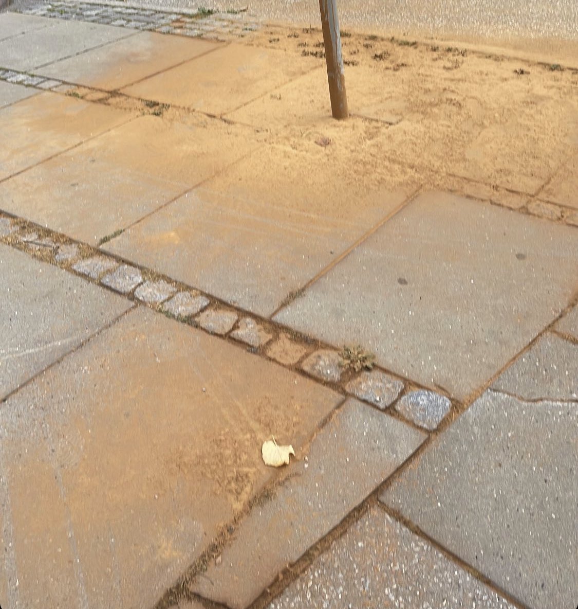MadsHolm's tweet photo. Alle gader i Aarhus er sådan: https://t.co/Y4fFM3Y40Y