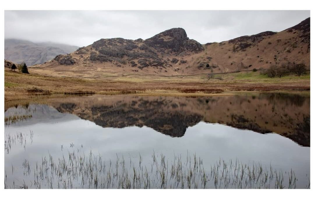 Overcast morning at Blea Tarn Cumbria. 
#igerscumbria #hike_britain #lensculture #yourebritain #dailylakes #getoutside #nationalparksuk #bbccountryfilemag #thisismyadventure #littlepiecesofbritain #gloriousbritain #natureinbritain