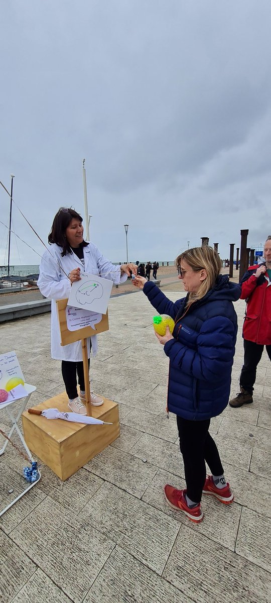 SoapboxBN's tweet photo. In our last session @Cristina_Mtz_Gz is telling us all about how she makes brains transparent and how it relates to her work with #Autism #SoapboxScienceBN #WomenInSTEM https://t.co/4URShNxtwW