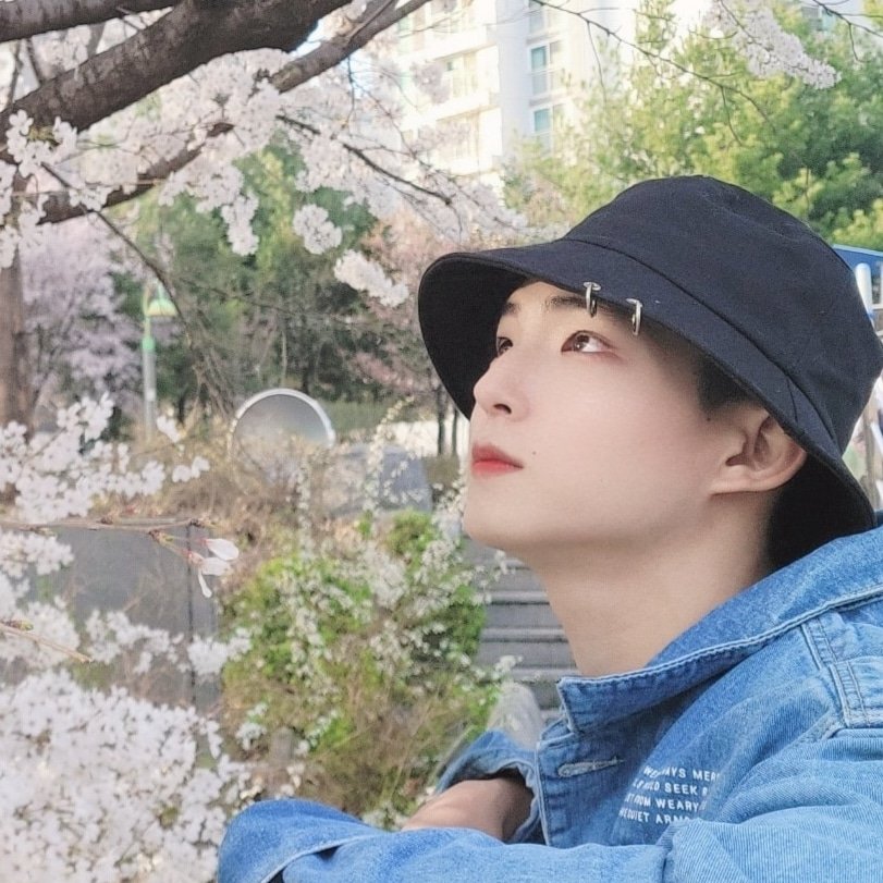 Junhorooms's tweet photo. #NewProfilePic
벚꽃 구경 🌸 
커플 천지네..
벚꽃이 그렇게도 예쁘디 바보들아??

#벚꽃 #트위터 #오랜만 https://t.co/VkVsxHv031