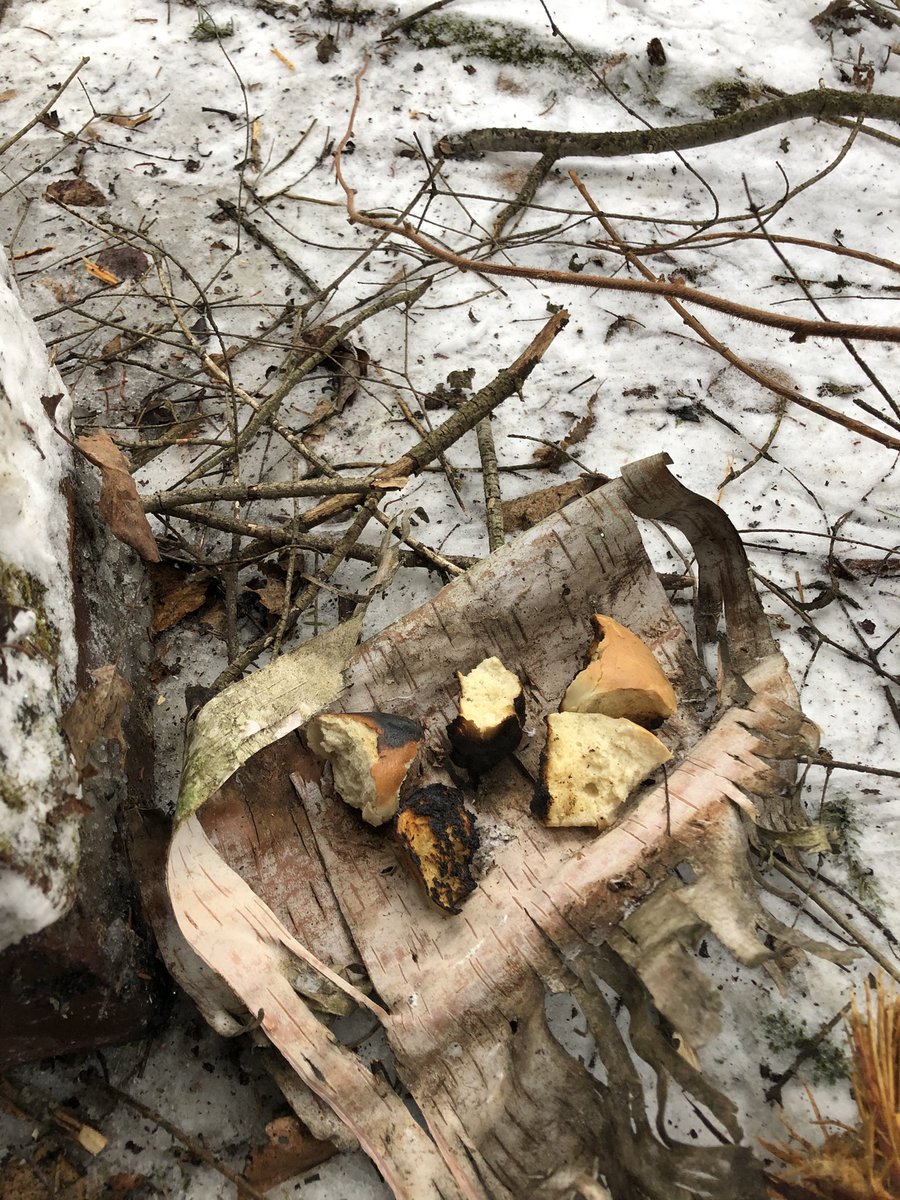 Sigma_concept's tweet photo. 🏴
Birds And Stuff
Work by Tyler Eiught

“Secret bosses?
Could be!”

IG: @teamshadow_ca

BE EVIL
https://t.co/IwGQQ0gGrv

#pagan #soldier #spiritualism #faith #outdoors #traveller #witches #magic #metis #canadianmilitary #decolonizeyourmind https://t.co/whUOdli3Qa