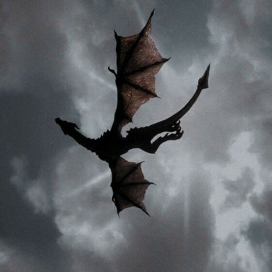 Sarah🌸 tweet media