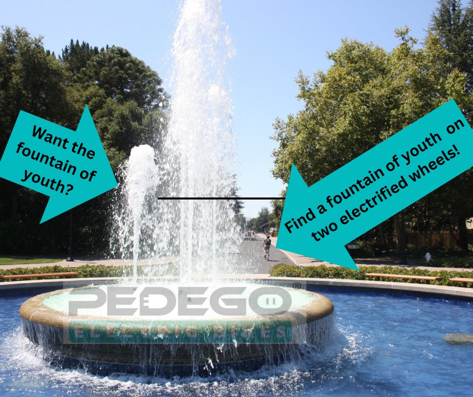 PedegoTroy's tweet image. We found the fountain of youth on two wheels, it�s called a #Pedego. Come in and try one and say #hellofun