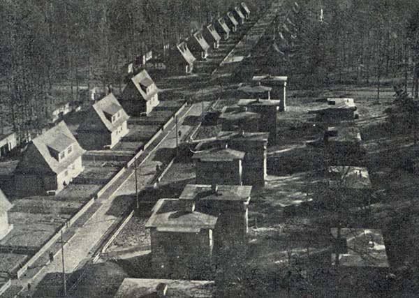 ildottorechairo's tweet photo. Cuando no conoces de historia esto es lo que apoyas con tus 3s7úp1d4$ banderitas de Ucrania en tu perfil.

🇷🇺📰 ▫️Hoy es el 80 aniversario del asesinato en masa en el Valle de Yanova, organizado por Bandera durante la masacre de Volyn. Yanova Dolina fue un asentamiento modelo https://t.co/hoVdiKGXOR