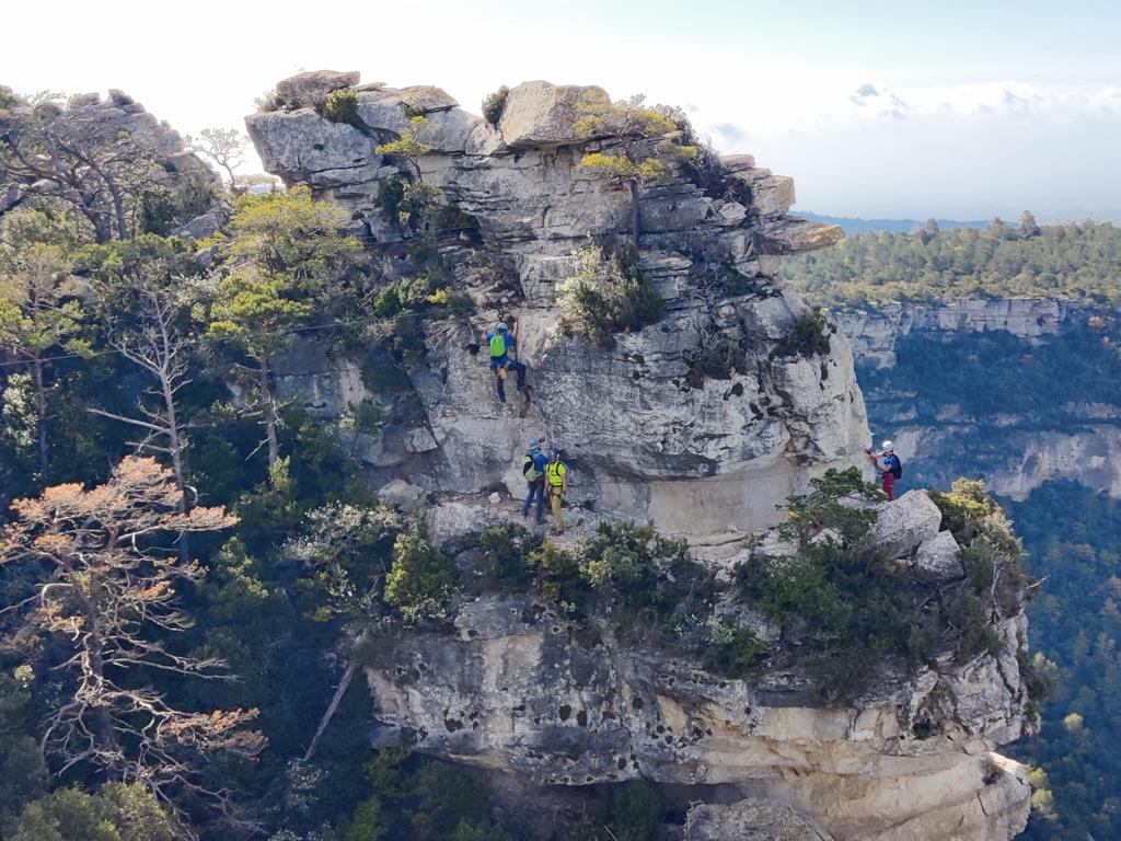 geamreus's tweet photo. Per Sant Jordi el @geamreus fent la ferrada dels Patacons + barranc de l'Agustí
#GEAMReus #AECReus #FEEC
#Ferrada #Patacons #Ferrata https://t.co/eqRvFAVc9t