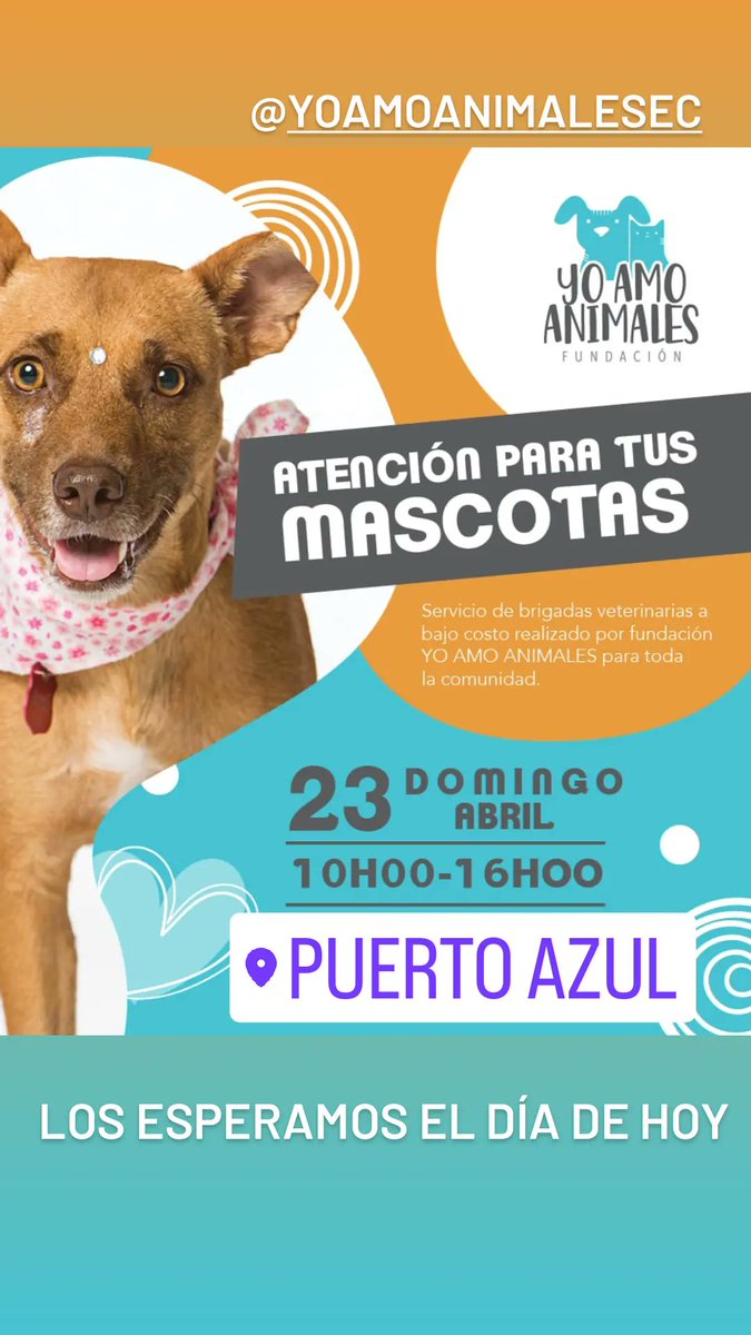 ArenaTomcat's tweet photo. Nueva campaña de vacunación, desparasitación y servicios varios para perros y gatos  #viaalacosta #puertoazul https://t.co/X0W9AzcWQ6
