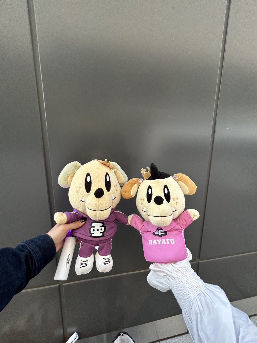 _s173cm's tweet photo. ワン🐶💕 https://t.co/pMlYwp6fqH
