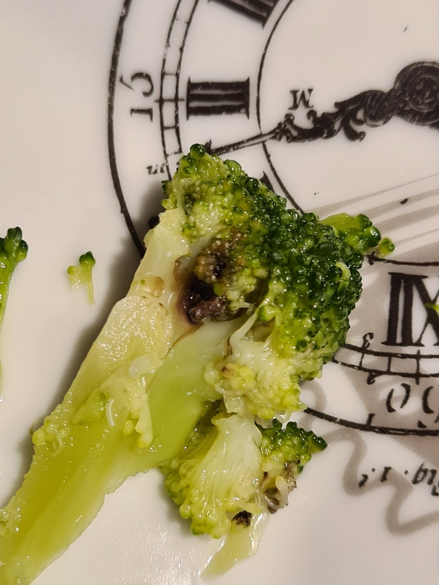 RafaRopero's tweet photo. @CarrefourES lo de los gusanos en el brocoli congelado classic es normal o es que también os habéis apuntado a la agenda 2030? Dos bolsas abiertas y misma situación no hay ni un arbolito que no tenga! Era para mi bebé de 9 meses asi que indignado con ustedes😤😤 https://t.co/voLKKXjwaH