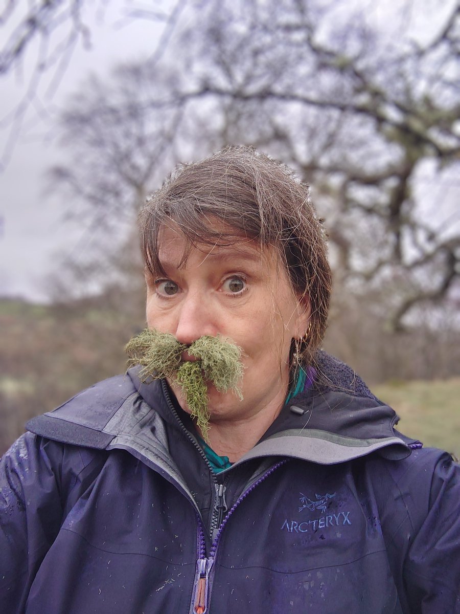 SAOCousins's tweet image. Back from 10 days of field excursion (work)  and excursion (pleasure).
Presents to kids (Lemon sherbet preferably but these are second best). My treasure I found on the wall. #DontStopAProfessor
#AcademicChatter #fieldexcursion