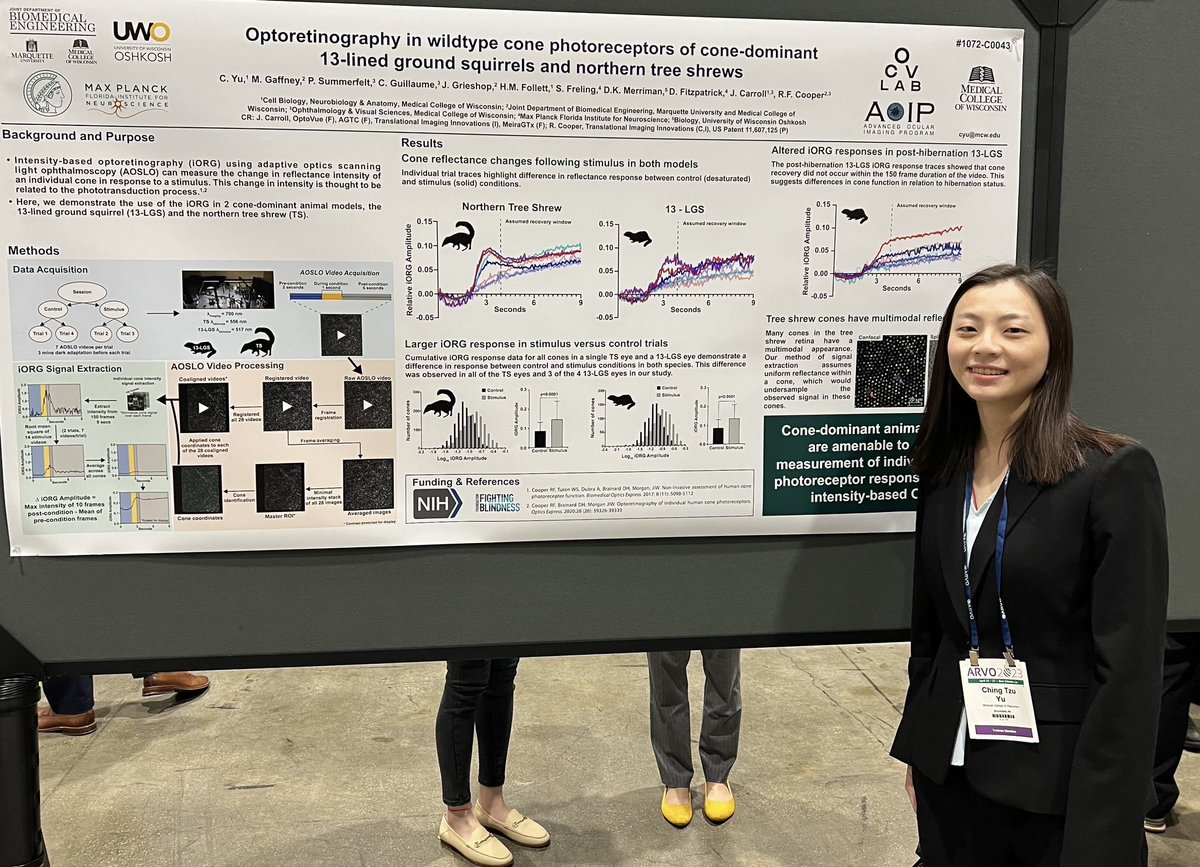 AOIP Lab (@aoiplab) on Twitter photo You may have heard her talk last year, but come see <a href="/MCW_CBNA/">CBNA</a> student <a href="/YuChingtzu/">Jeanie Ching tzu Yu</a> present her <a href="/NatEyeInstitute/">NEI</a> Audacious Goals funded project applying optoretinography to cone-dominant animals! Poster C0043. #ARVO2023 <a href="/_GroundSquirrel/">Hannah Follett</a> <a href="/MinaGaffney/">Mina Gaffney</a> @JennaGrieshop <a href="/DreamInJava/">Robert Cooper</a> You may have heard her talk last year, but come see <a href="/MCW_CBNA/">CBNA</a> student <a href="/YuChingtzu/">Jeanie Ching tzu Yu</a> present her <a href="/NatEyeInstitute/">NEI</a> Audacious Goals funded project applying optoretinography to cone-dominant animals! Poster C0043. #ARVO2023 <a href="/_GroundSquirrel/">Hannah Follett</a> <a href="/MinaGaffney/">Mina Gaffney</a> @JennaGrieshop <a href="/DreamInJava/">Robert Cooper</a>