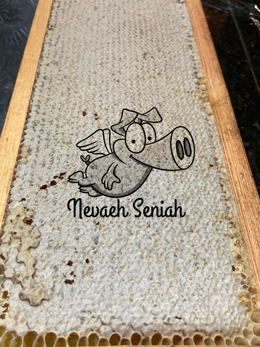 NevaehSeniah's tweet photo. #Beekeeping but HIGHLY allergic! #OrganicallyGrown #CertifiedNaturallyGrown #GeorgiaGrown #QuirkyFarmGirl #WomanOwnedBusiness #Honey #SendTips #NevaehSeniah #FlyingPigFarm #Georgia #WomanOwnedFarm #Bees #JediKnights #StormTroopers theme on the #StarWarsFarm #WelcomeToTheDarkside https://t.co/3darRCff5N