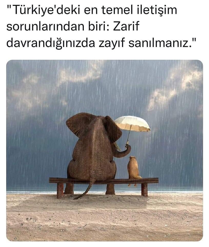 DincerArif's tweet photo. https://t.co/CRjXnoKD8l