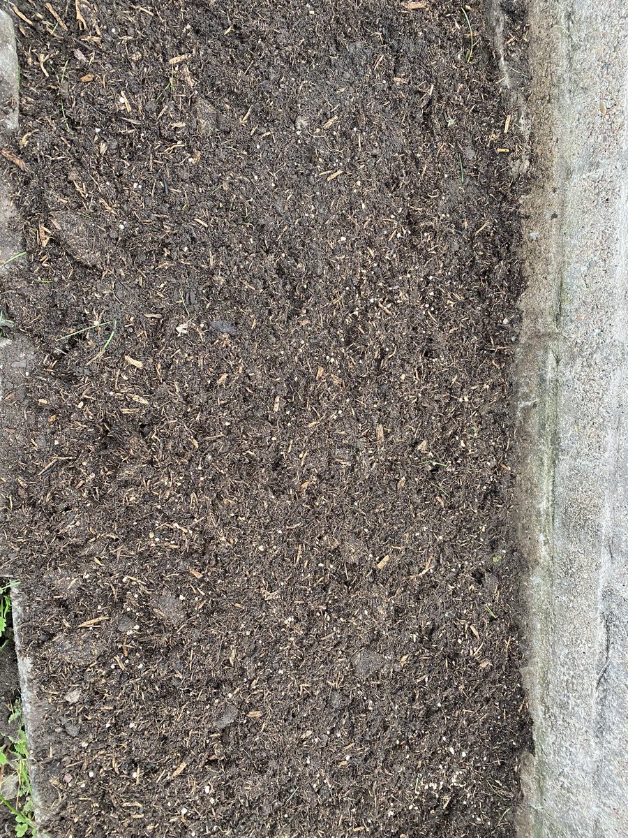 itsaginstory's tweet photo. @DeborahMeaden Just planted ours for a wild flower fairy garden 🪴 🌸🧚‍♀️ https://t.co/7vkAaj40yl