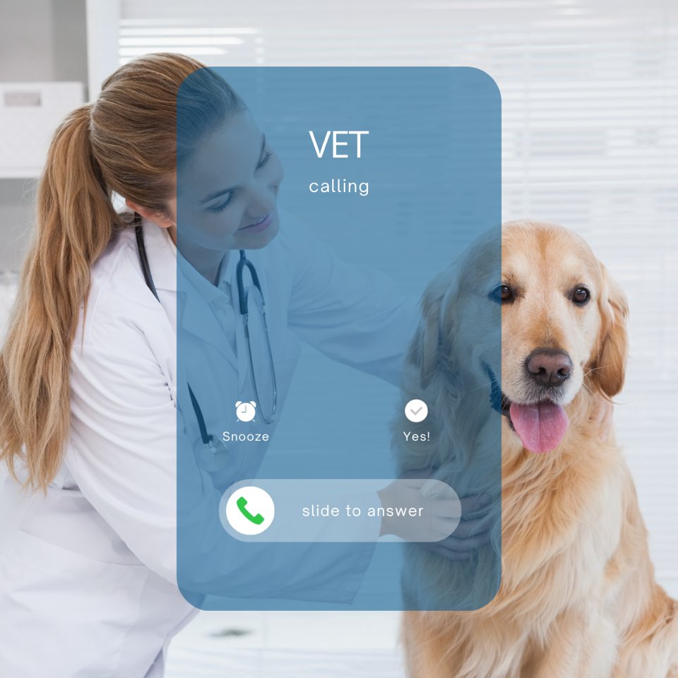 Friendly reminder to schedule your pet’s annual vaccinations and checkups this spring! ⏰🌱🐶

If you’re struggling to keep up with vet costs, Petcard can help. Apply for financing here: petcard.ca/apply-now.php