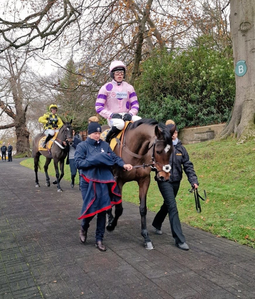 hollymeredith on Twitter "RT racingblogger 🏆 CobdenHarry is my 2023