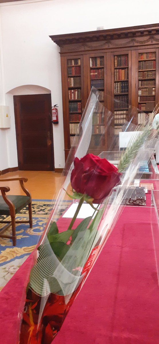 Biblioteca de catalunya 
#SantJordi #SantJordi23 #SantJordiTV3 #SantJordiCatRadio #SantJordiRAC1 #Barcelona #bcn #barna