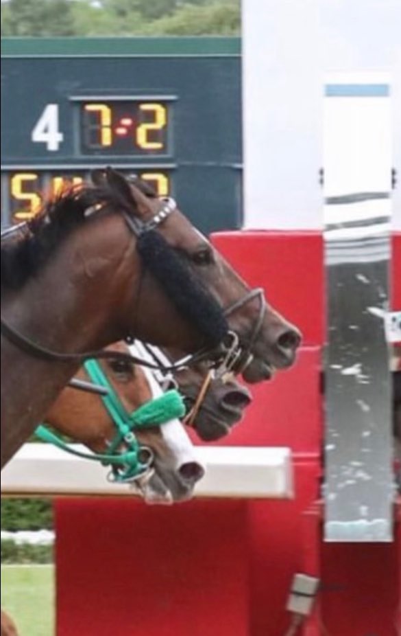 caseclay1's tweet photo. Photo of the 1M Oaklawn Park Handicap. Last Samurai is the middle nose. What a game. Congratulations to @godolphin Proxy! https://t.co/zLjpZThs04