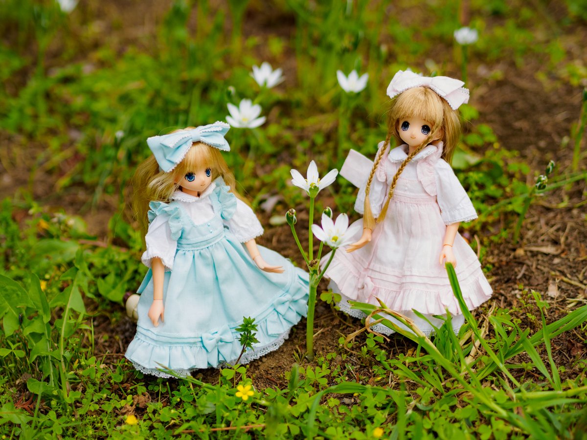 KisaHaya_Doll's tweet photo. Google Nest Hub で1年前くらいの写真がいろいろ出てくるのです
#えっくすきゅーと #えっくすきゅーとふぁみりー #TwinkleSign https://t.co/3NZG9eyuXG
