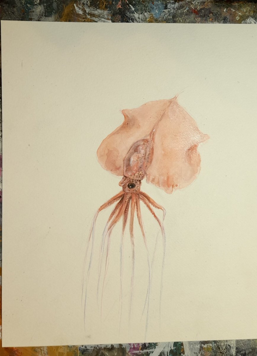 greyauk's tweet image. Little sketch for the end of #InverteFest 

Night night 😴