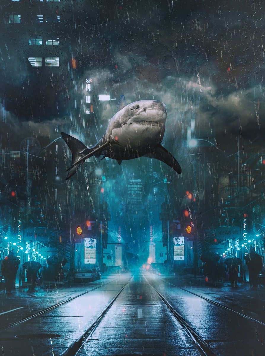 Fulton Hobbs (@hobbsfulton) on Twitter photo 