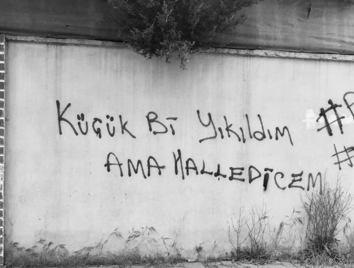 Suçiçeği mi? (@aysegul__oguz) on Twitter photo 