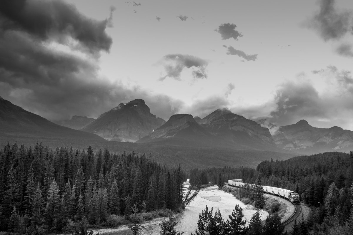 The #CMRoachPhotos shop will close at 11:59pm on May 31, 2023. Now’s the time to get your last purchases in - prices on the shop reduced by around 25% to say thanks!

Want to browse the pictures for sale: head to cmroachphotography.ca/buypictures