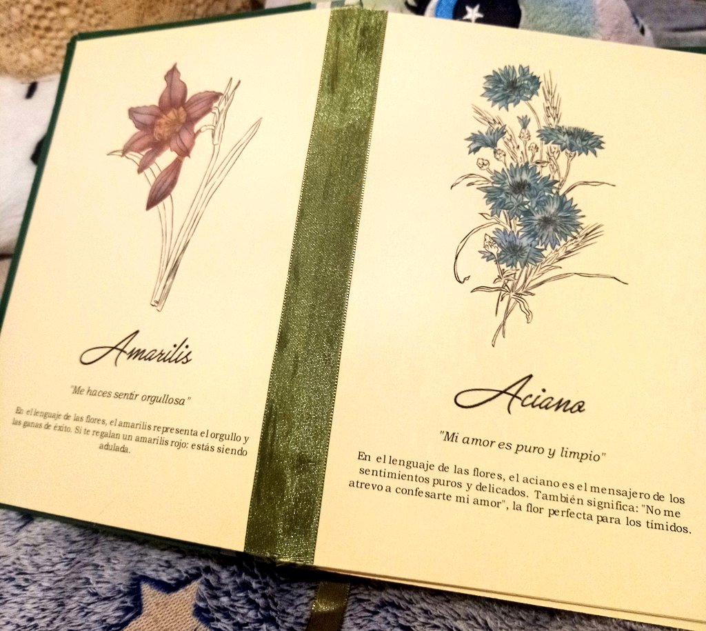 CooffeDelRey's tweet photo. me construyó, bordó, ilustró y escribió un libro de flores con poemas que le hacen acordar a mí, con mensajes ocultos, propiedades mágicas de cada planta, una dedicatoria y una recopilación de las flores y sus significados 💚🤧 never forget https://t.co/CSWADS1YuO