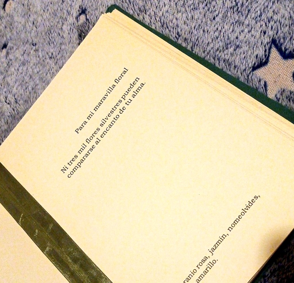 CooffeDelRey's tweet photo. me construyó, bordó, ilustró y escribió un libro de flores con poemas que le hacen acordar a mí, con mensajes ocultos, propiedades mágicas de cada planta, una dedicatoria y una recopilación de las flores y sus significados 💚🤧 never forget https://t.co/CSWADS1YuO