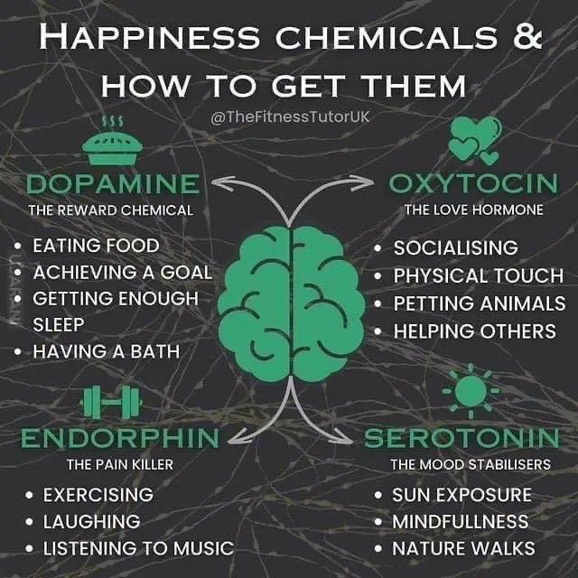 alvinfoo's tweet photo. Natural happiness chemicals https://t.co/6Im9vIAh32