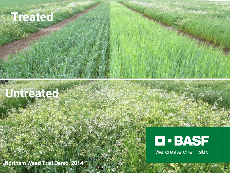BASF Agricultural Solutions Australia tweet media