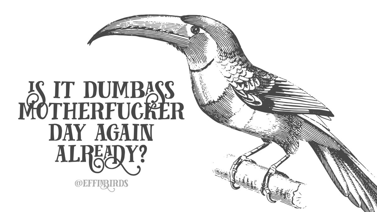 Effin' Birds (@effinbirds) on Twitter photo 