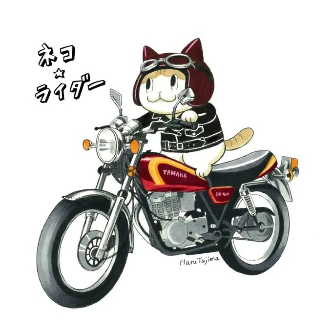 漫画「ネコ☆ライダー」第7話は今日のお昼に更新する予定ニャ。5月の始まり。みニャさんのスタートダッシュを応援していますニャ #ネコライダー