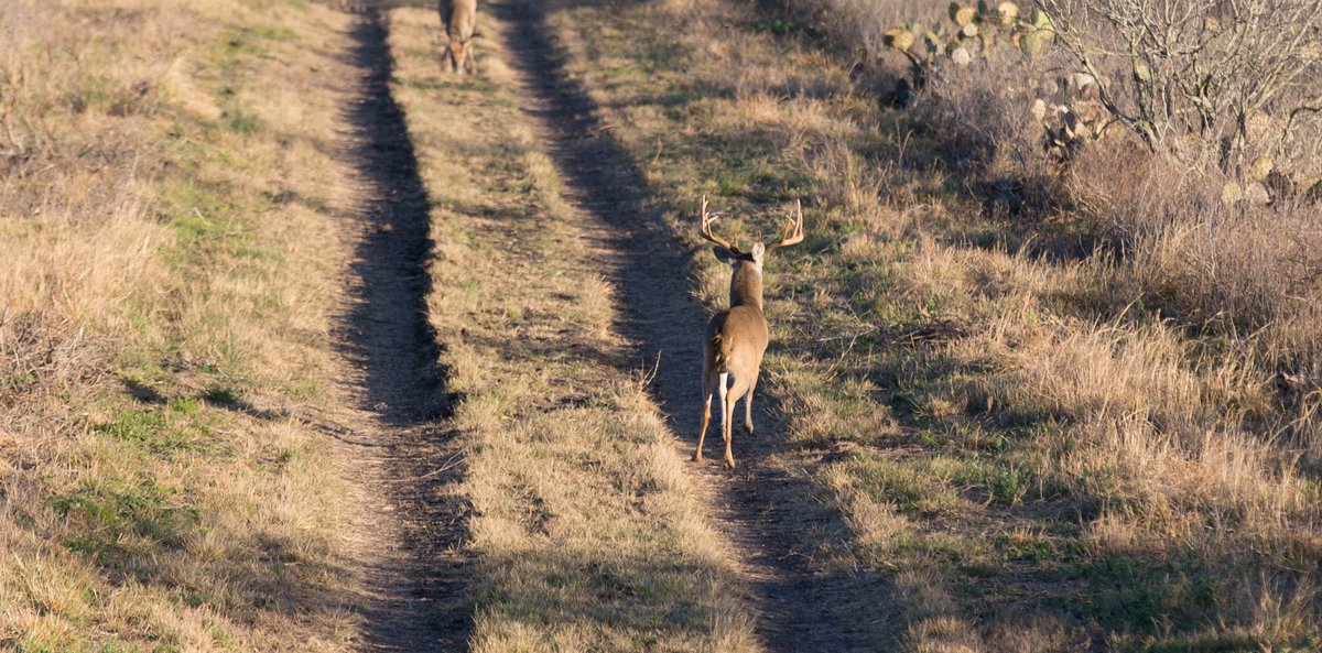 Eastmans' Hunting tweet media
