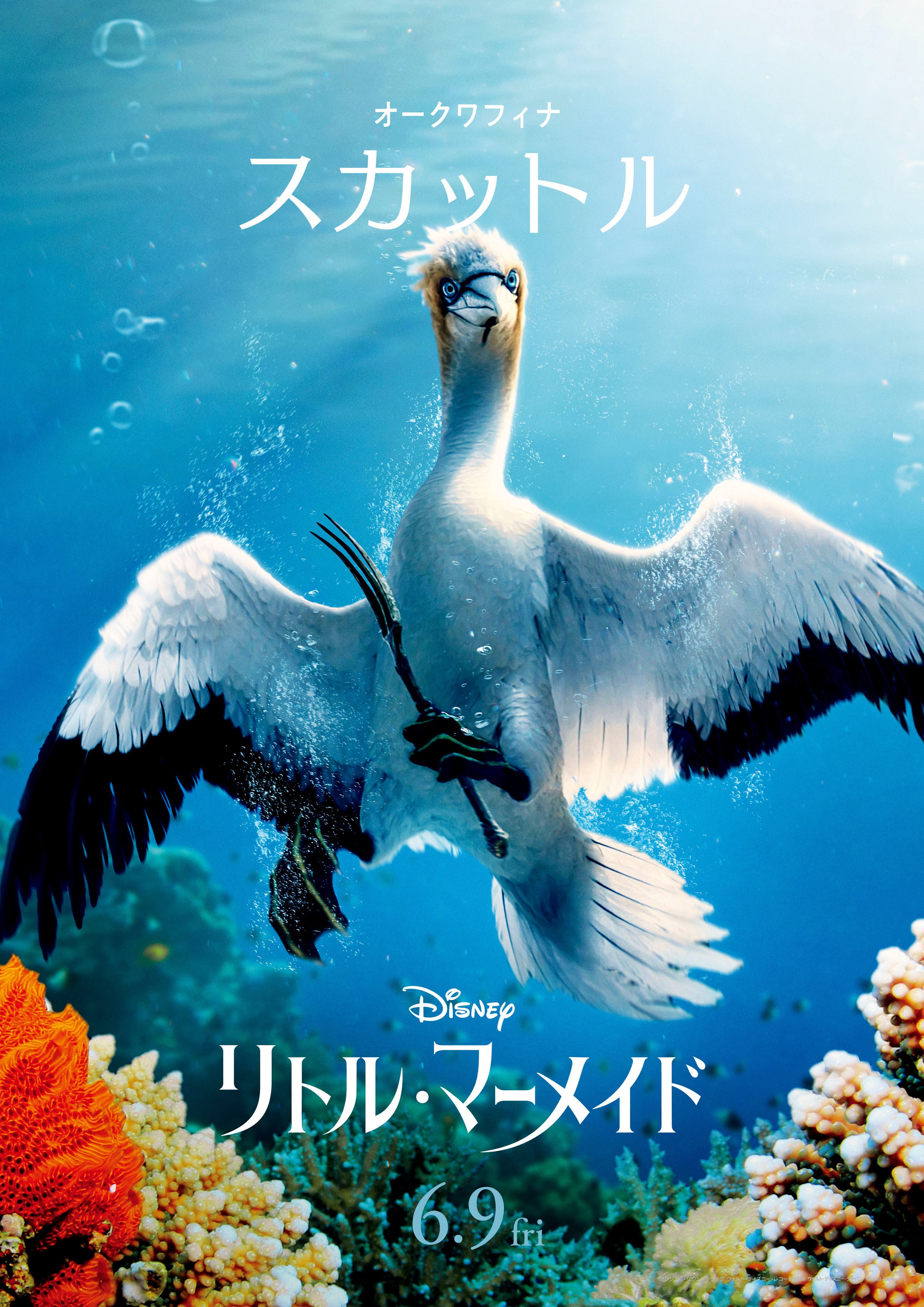 Amazon.co.jp: Trends International ディズニー リトル