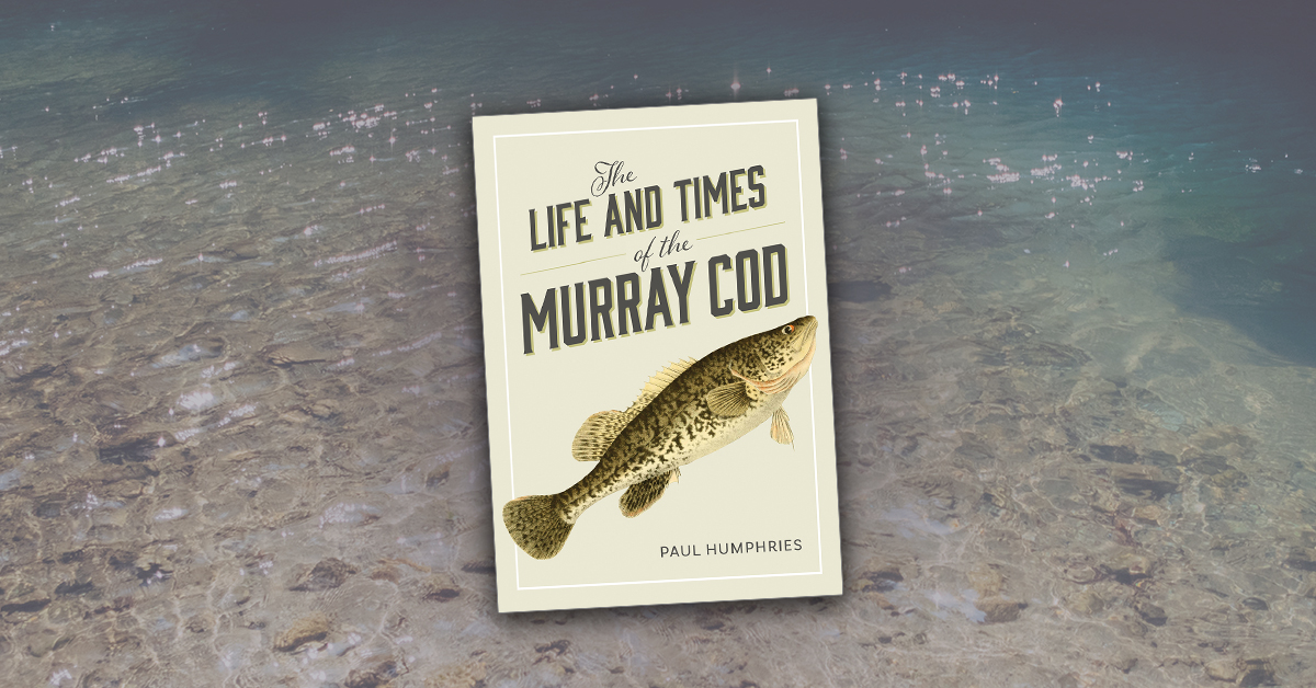 Just Published:
The Life and Times of the Murray Cod presents insights into the breeding, early life, growth, habitat, feeding, movement and conservation of the Murray cod, and explores its relationships with people, from pre-European times to today.
publish.csiro.au/book/7924/
