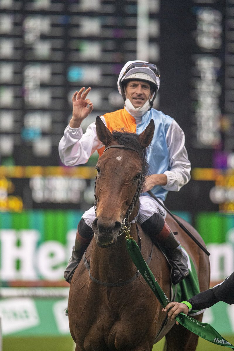 "Ratings of 100.1, 100.7 &amp; 101.3 this prep suggest that Montefilia still has plenty to offer. Consistent with her past record, Group class races under set weights or WFA conditions between 1600m-2400m are realistic targets" <a href="/TRBHorseRacing/">Daniel O'Sullivan</a> 
 #NewgateConsignment
 <a href="/ashbrennanphoto/">Ashlea Brennan</a>